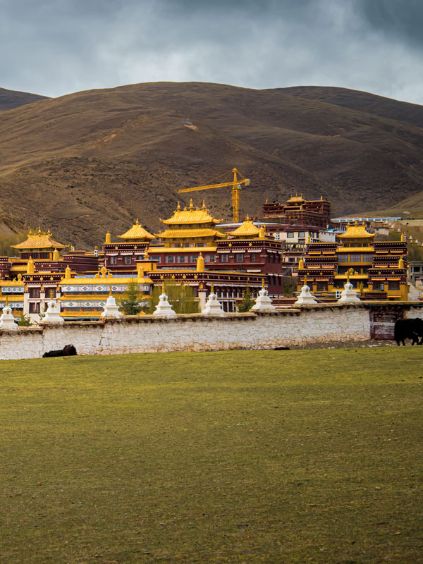 Tibet