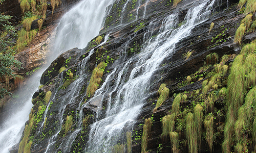 Annapurna Base Camp Trek